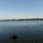 Christbaumversenken_2019_18