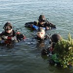 Christbaumversenken_2019_20