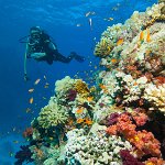 Egypt_2019_032
