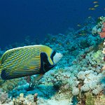 Egypt_2019_033