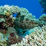 Egypt_2019_037