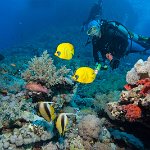 Egypt_2019_038
