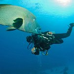 Egypt_2019_046