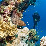 Egypt_2019_049