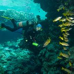 Egypt_2019_062