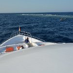 Egypt_2019_119