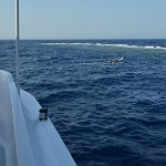 Egypt_2019_120