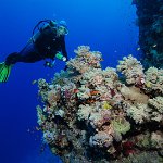 Egypt_2019_146