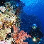 Egypt_2019_158