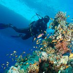 Egypt_2019_165