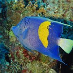 Egypt_2019_170