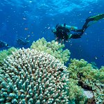 Egypt_2019_175